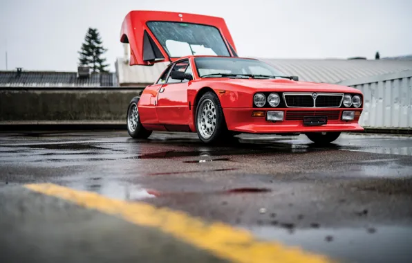 Red, Lancia, Rally, 1981, Lancia Rall Stradale 037 Stradale