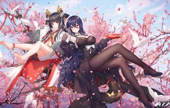 Picture girl, anime, art, Oboro, jidong zhandui