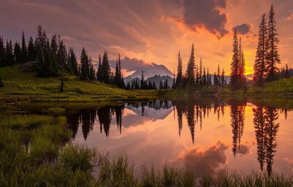 Picture landscape, sunset, nature, lake, beauty, ate, tree