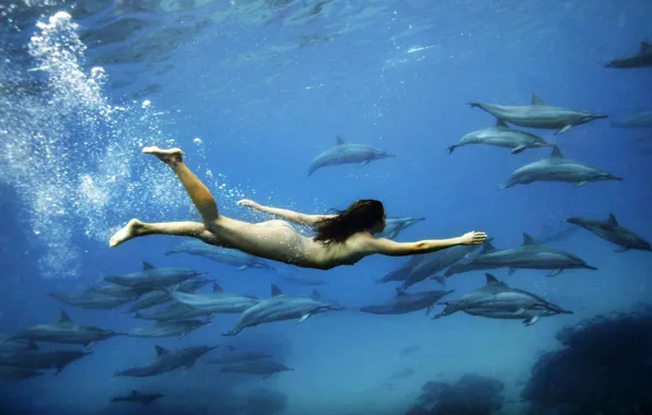Nude, swimming, dolphins