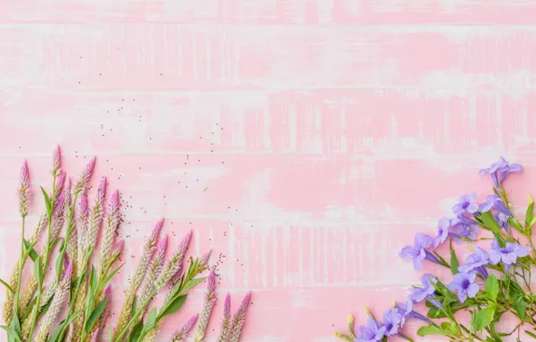 Flowers, background, pink, wood, pink, flowers