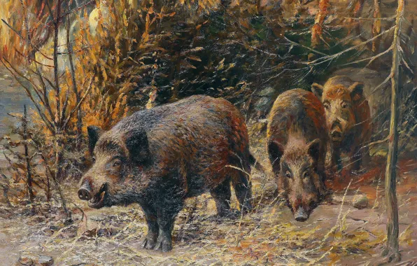 Picture Trees, Picture, German artist, Wilhelm Lorenz, Wild Boars, Wild boars on the edge of the …