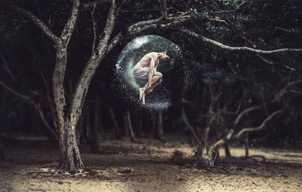 Trees, people, bubble