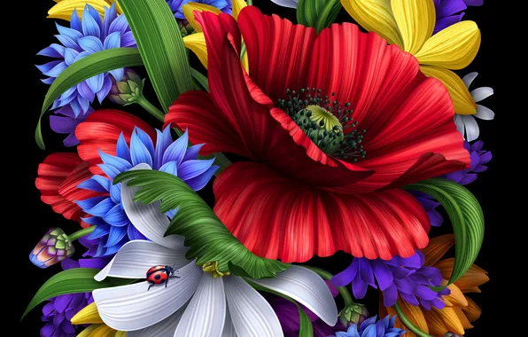 Nature, collage, Mac, ladybug, petals, insect