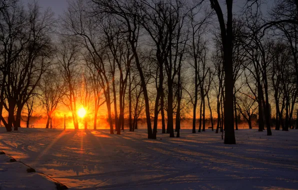 City, Canada, river, trees, winter, glow, snow, island