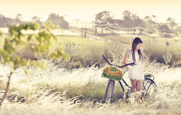 Picture summer, girl, bike