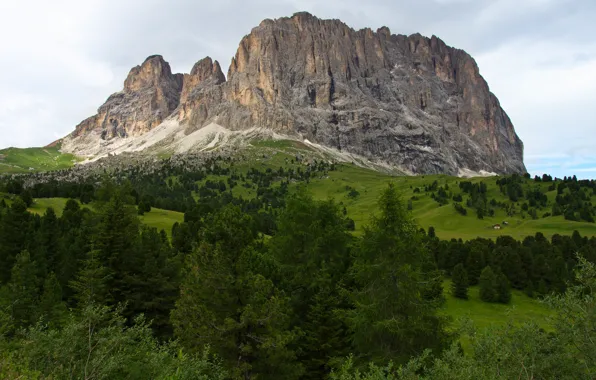 Greens, field, forest, trees, mountains, rocks, tops, view