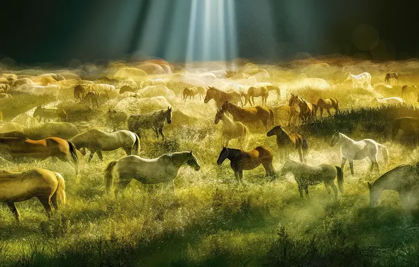 Horses, horse, running, a lot, the herd, horses, imitation painting, AI art