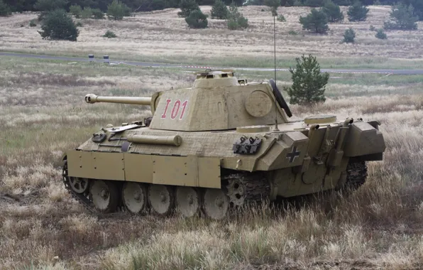 German, Panther, tank, sahara2014