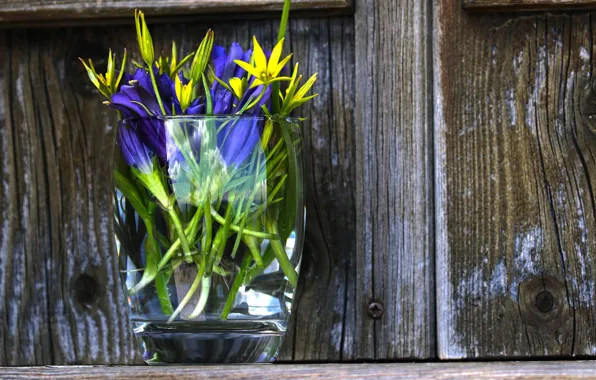 Glass, flowers, Board, bouquet, yellow, purple, vase, blue