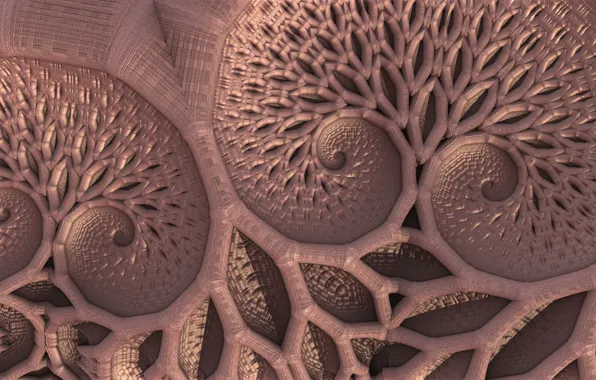 Macro, surface, pattern, form