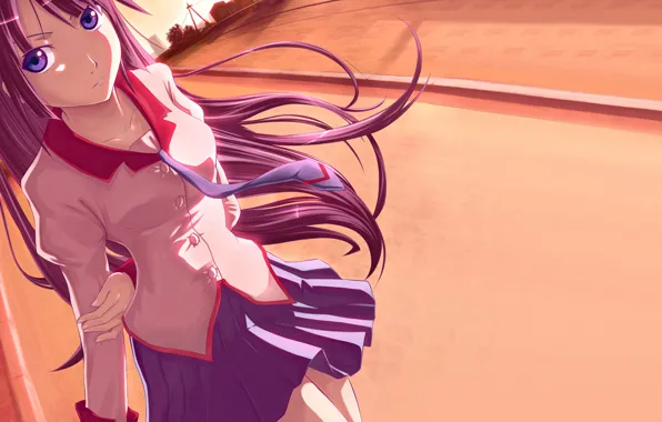 Anime, Bakemonogatari, Senjougahara Hitagi, Hitagi Senjogahara., History of monsters