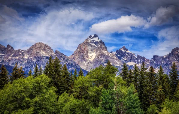 Trees, mountains, Wyoming, Wyoming, Grand Teton, Grand Teton National Park