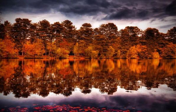 Autumn, forest, the sky, trees, clouds, river