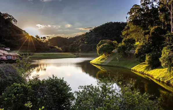 Forest, the sky, the sun, rays, trees, mountains, river, dawn