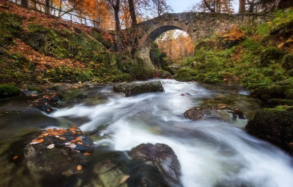 Autumn, bridge, river, Northern Ireland, Northern Ireland, River Shimna, Shimna River, Foley's Bridge