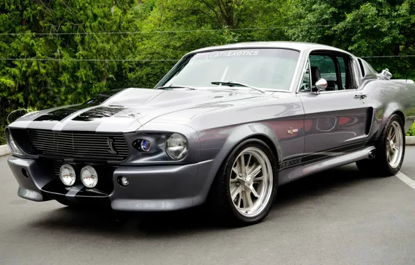 Picture Mustang, Ford, Shelby, Ford, Mustang, Eleanor, GT 500, Muscle car
