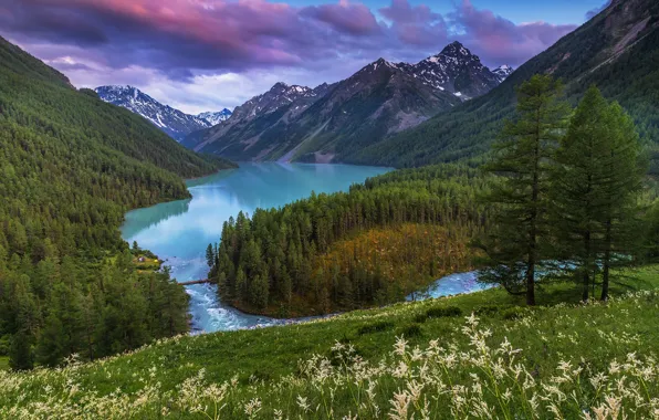 Picture water, mountains, river, meadow
