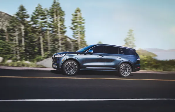 Road, Lincoln, speed, side view, Aviator, 2020