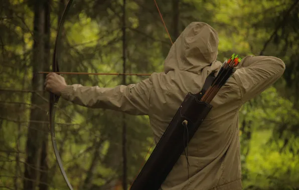 Forest, goal, bow, arrows, Archer