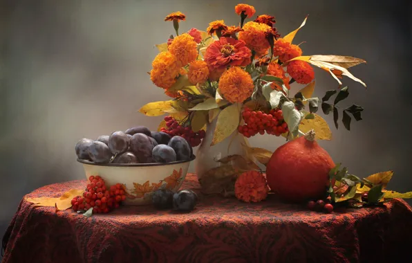Picture autumn, pumpkin, fruit, still life, plum, Rowan, marigolds, zinnia