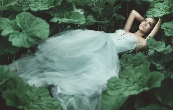 Forest, leaves, girl, plant, dress, lies, Princess, Wallpaper from lolita777