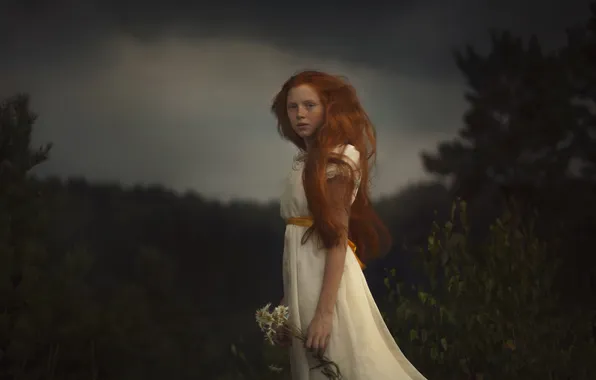 Forest, look, girl, flowers, clouds, nature, pose, chamomile