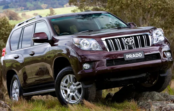 Grass, Japan, Stones, Australia, Wallpaper, Jeep, Japan, Toyota