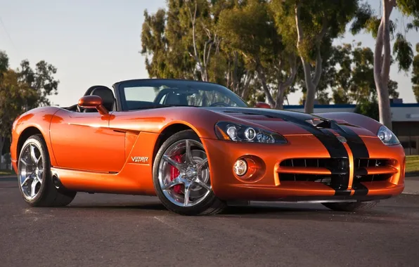 Trees, strip, supercar, Roadster, drives, viper, Dodge, Viper