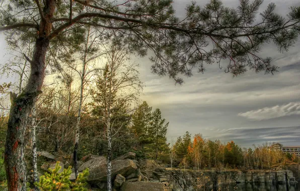 Picture autumn, trees, Park, stones, treatment, pond