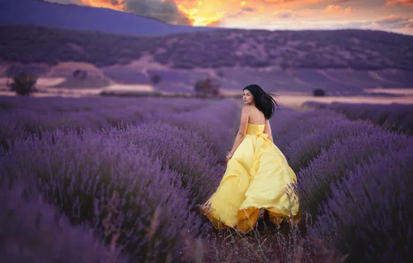 Picture field, girl, joy, dress, lavender