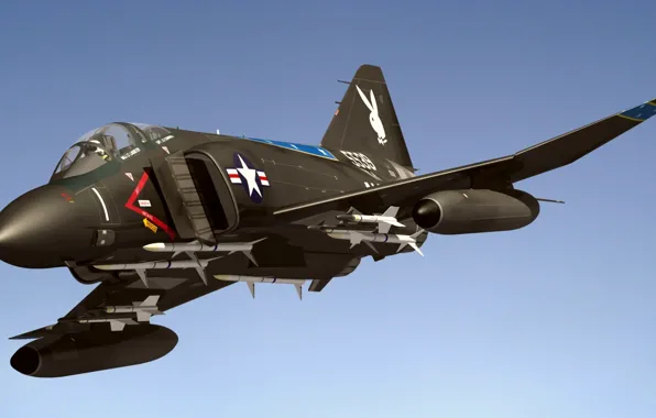 Fighter, Phantom II, F4J, Black Bunny