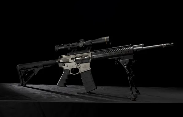 Optics, carabiner, assault rifle, fry