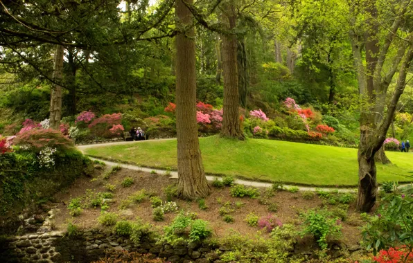 Greens, grass, trees, bench, Park, UK, the bushes, Bodnant Gardens Wales