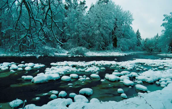Winter, Stream, Trees, Snow, Forest, Stones, Branch, River