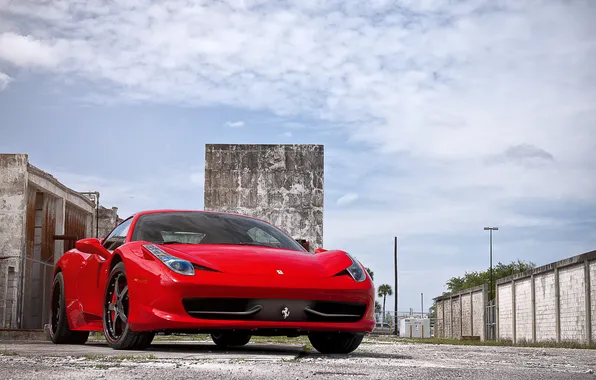 Trees, red, Palma, lantern, emblem, red, ferrari, Ferrari