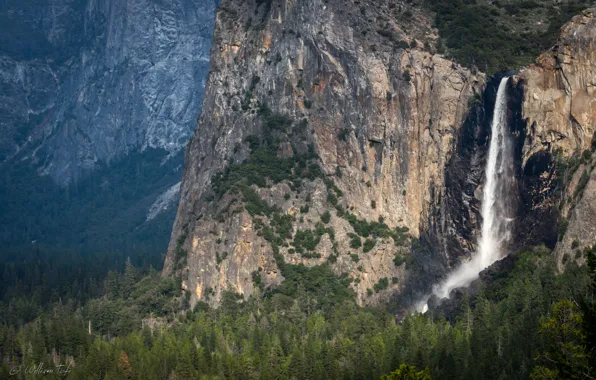 Picture forest, mountains, USA, Yosemite, Yosemite national Park, Bridalveil Falls