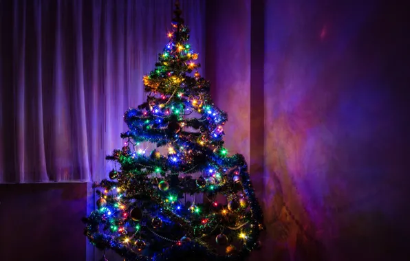 Picture tree, spruce, Christmas, New year, Christmas, Tree, New, Christmas tree