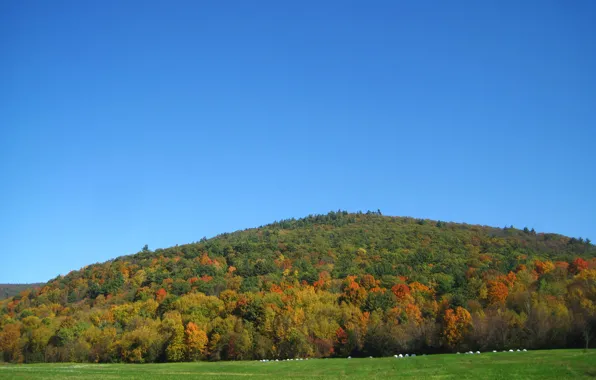 Picture Nature, Autumn, Field, Nature, Fall, Autumn, Fields