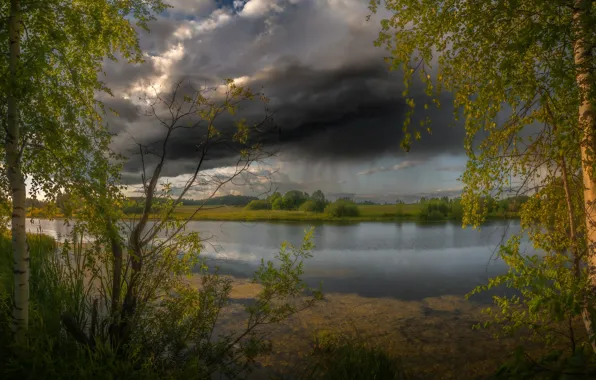 Picture the storm, summer, trees, landscape, clouds, nature, river, birch