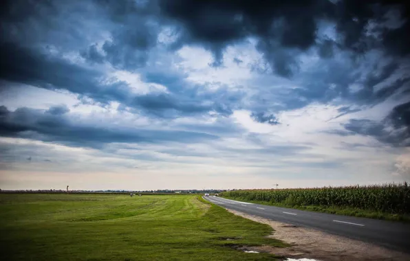 Road, field, the sky, grass, clouds, landscape, nature, plants