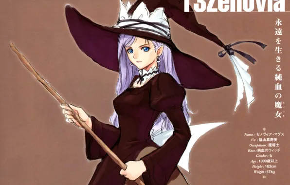 Text, hat, witch, blue eyes, art, shining tears, visual novel, zenovia