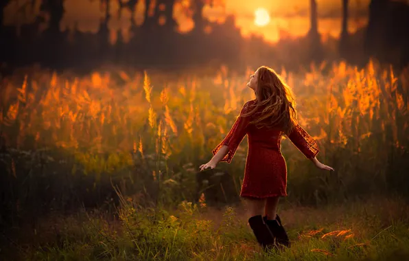 Picture the sky, grass, the sun, trees, sunset, nature, Girls