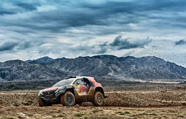 Wallpaper Mountains, 2008, Peugeot, Dirt, Peugeot, Dakar, DKR, Baggy ...