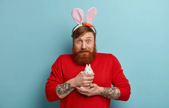 Look, face, room, portrait, surprise, hands, small, rabbit