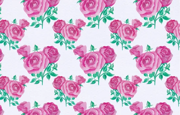 Background, pattern, roses, texture