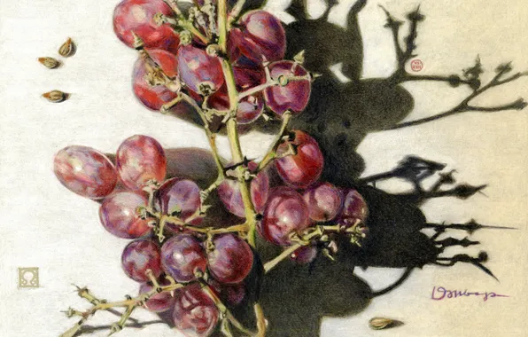 Figure, Grapes, Shadows, Art