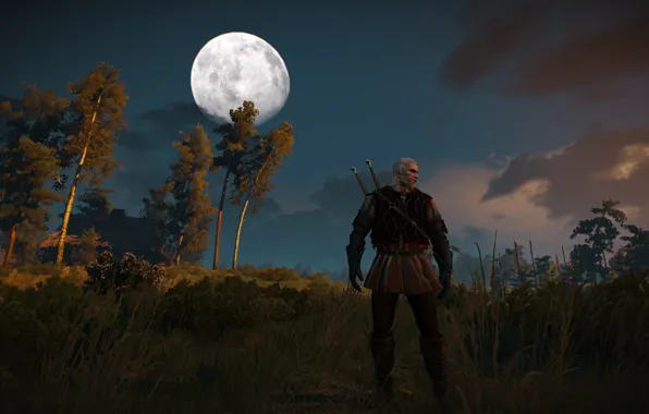 Witcher, Witcher 3 Wild Hunt, Geralt from Rivia