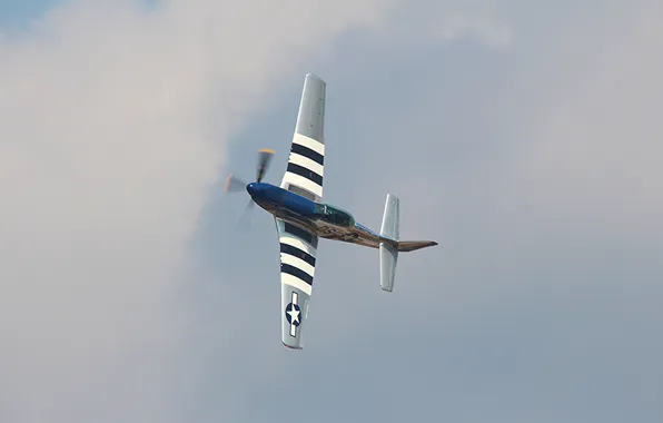 Fighter, the plane, P-51 Mustang, shown