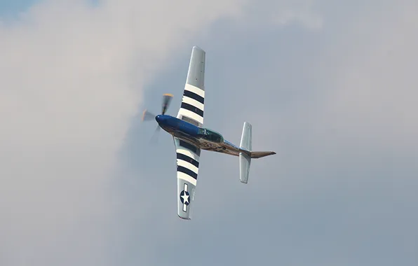 The plane, fighter, P-51 Mustang, show